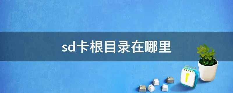 sd卡根目录在哪里
