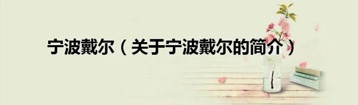宁波戴尔（关于宁波戴尔的简介）