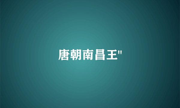 唐朝南昌王