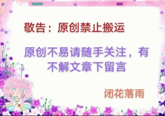 这是什么品种的山茶花？