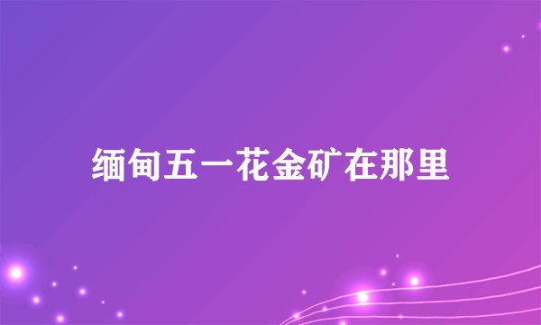 缅甸五一花金矿在那里