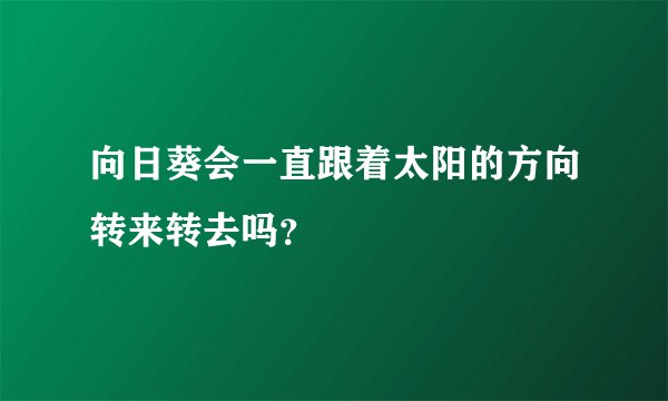 向日葵会一直跟着太阳的方向转来转去吗？