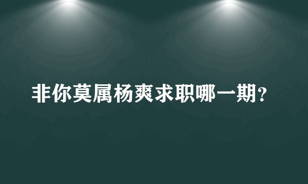 非你莫属杨爽求职哪一期？