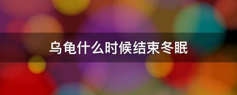 乌龟什么时候结束冬眠