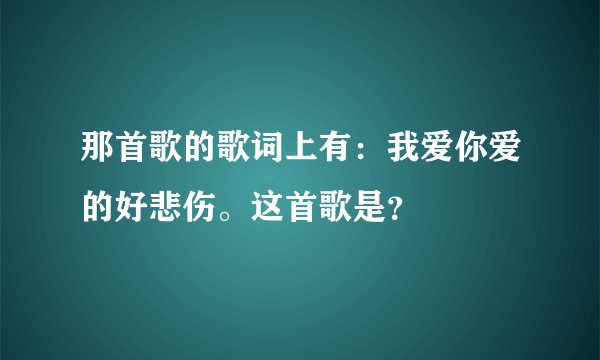 那首歌的歌词上有：我爱你爱的好悲伤。这首歌是？