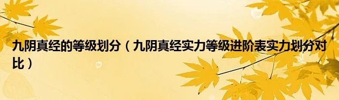 九阴真经的等级划分（九阴真经实力等级进阶表实力划分对比）