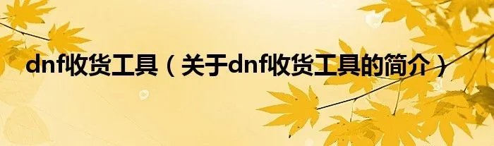 dnf收货工具(关于dnf收货工具的简介)