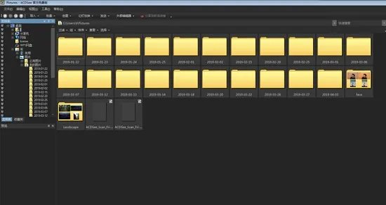 acdsee3.1绿色版
