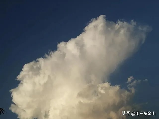 美国驻华大使馆证实：美驻华大使布兰斯塔德将于10月初离任，你怎么看？