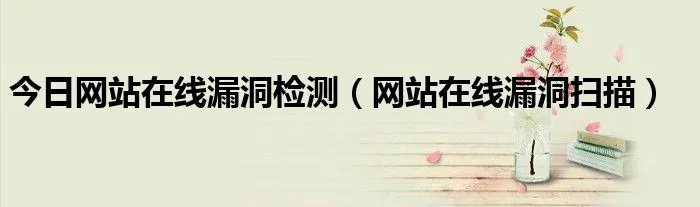 今日网站在线漏洞检测（网站在线漏洞扫描）