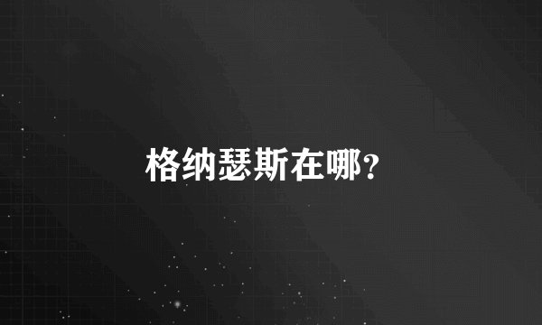 格纳瑟斯在哪？