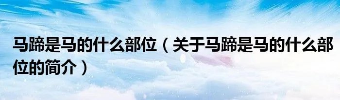 马蹄是马的什么部位（关于马蹄是马的什么部位的简介）