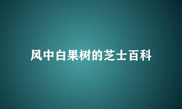 风中白果树的芝士百科