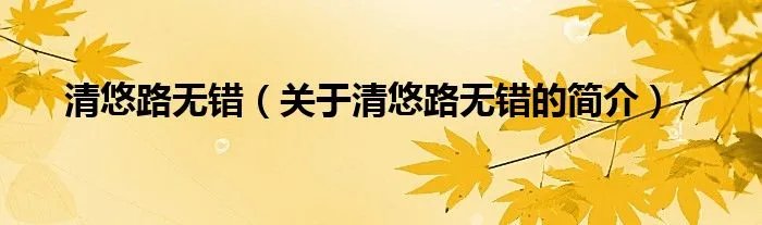 清悠路无错（关于清悠路无错的简介）
