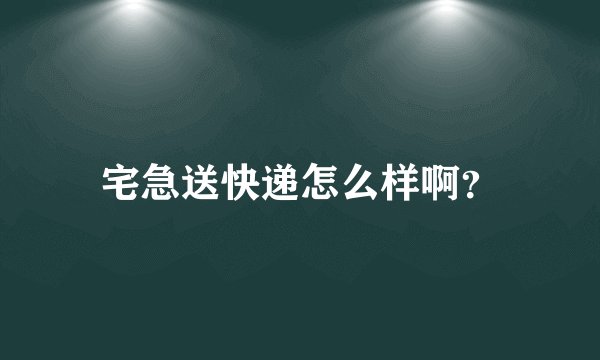 宅急送快递怎么样啊？