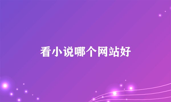 看小说哪个网站好