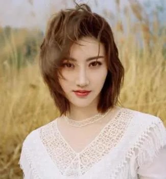 景甜认证那英司藤东北分藤,景甜的家世如何