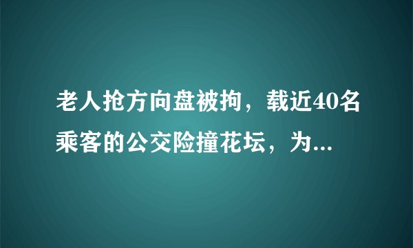 老人抢方向盘被拘，载近40名乘客的公交险撞花坛，为何不长记性？