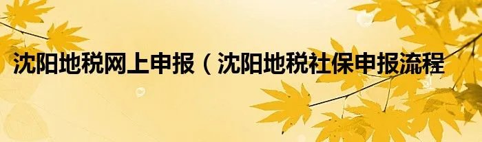 沈阳地税网上申报(沈阳地税社保申报流程