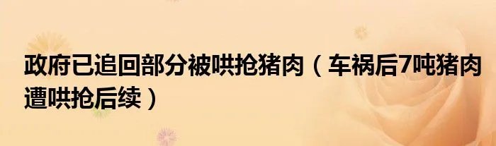 政府已追回部分被哄抢猪肉（车祸后7吨猪肉遭哄抢后续）