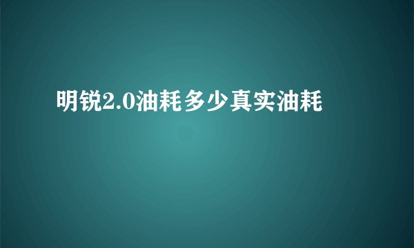 明锐2.0油耗多少真实油耗
