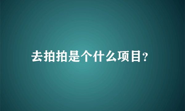 去拍拍是个什么项目？