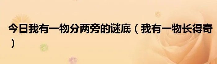 今日我有一物分两旁的谜底（我有一物长得奇）