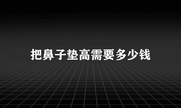 把鼻子垫高需要多少钱