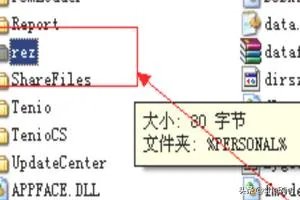 cfbug不掉血文件怎么用?