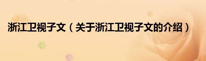 浙江卫视子文（关于浙江卫视子文的介绍）