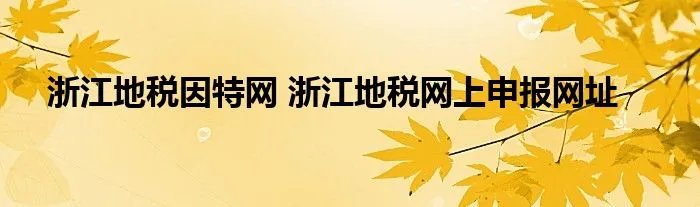 浙江地税因特网 浙江地税网上申报网址