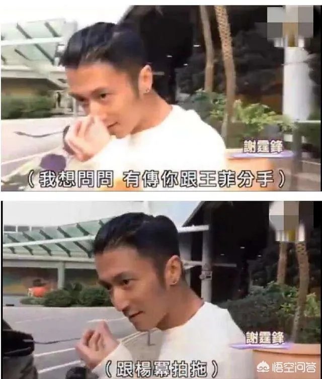 谢霆锋和杨幂两个没什么交集的明星，为什么屡屡被传在一起？