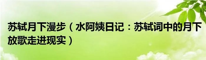 苏轼月下漫步（水阿姨日记：苏轼词中的月下放歌走进现实）