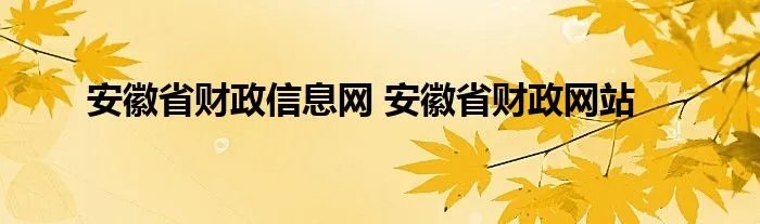 安徽省财政信息网 安徽省财政网站