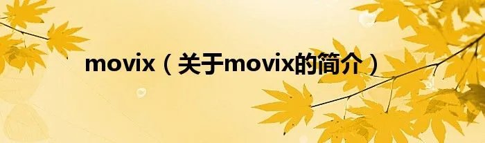 movix（关于movix的简介）