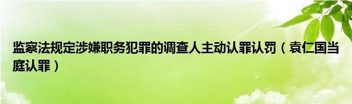 监察法规定涉嫌职务犯罪的调查人主动认罪认罚（袁仁国当庭认罪）