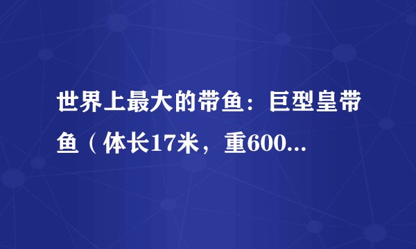 世界上最大的带鱼：巨型皇带鱼（体长17米，重600公斤）- 飞外网
