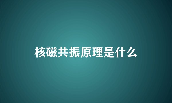 核磁共振原理是什么