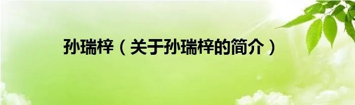 孙瑞梓（关于孙瑞梓的简介）