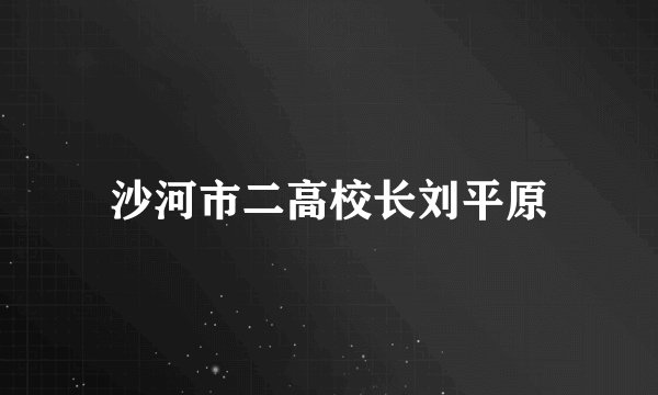 沙河市二高校长刘平原
