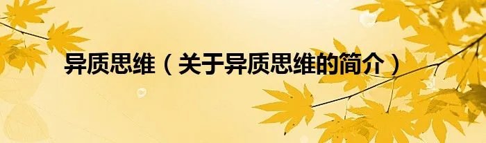 异质思维（关于异质思维的简介）