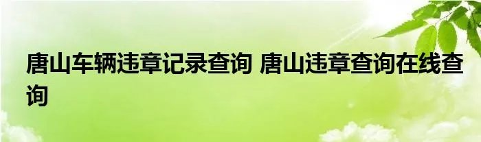 唐山车辆违章记录查询 唐山违章查询在线查询
