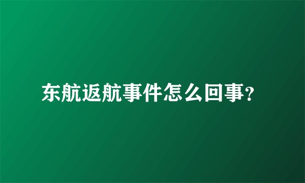 东航返航事件怎么回事？