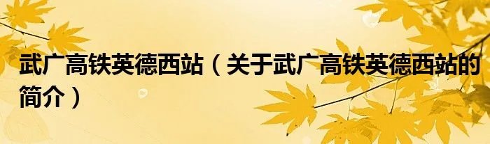 武广高铁英德西站（关于武广高铁英德西站的简介）