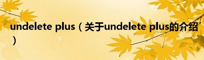 undelete plus（关于undelete plus的介绍）