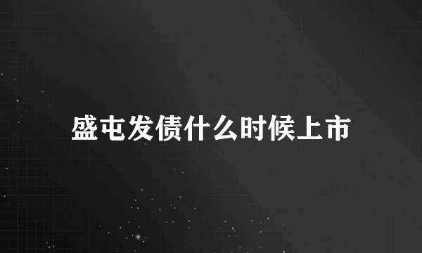 盛屯发债什么时候上市
