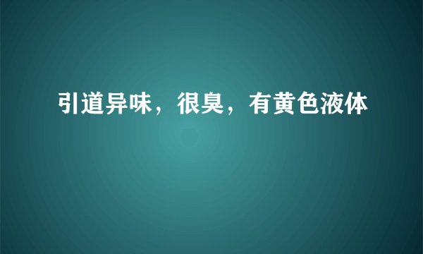 引道异味，很臭，有黄色液体