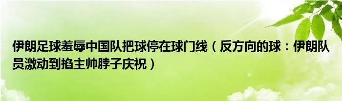 伊朗足球羞辱中国队把球停在球门线(反方向的球:伊朗队员激动到掐主帅脖子庆祝)