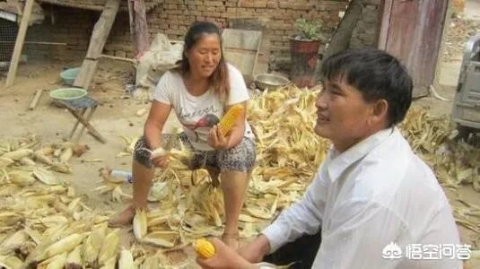 朱之文近况如何？