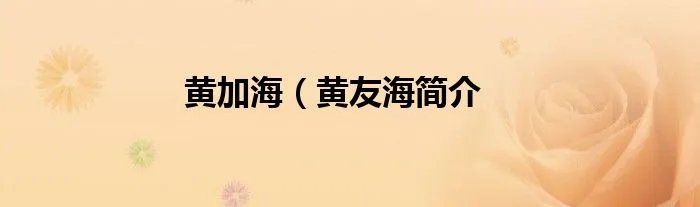 黄加海（黄友海简介